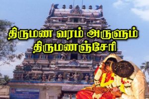 Tirumanancheri Temple timings marriage pooja details