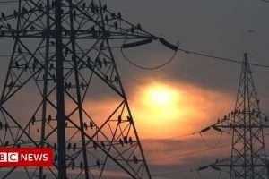 Coal Crisis: Is India on the Verge of Electricity Shortage