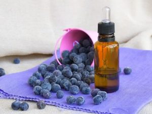 blueberry body oil