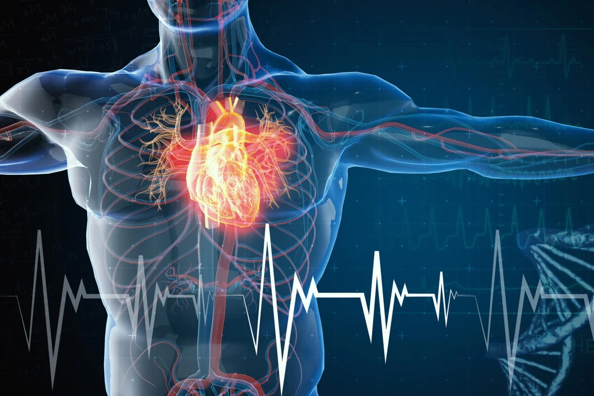 heart failure and heart attacks symptoms causes precautions