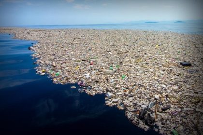 The Impact of Plastic Waste on the Oceans and Marine Life
