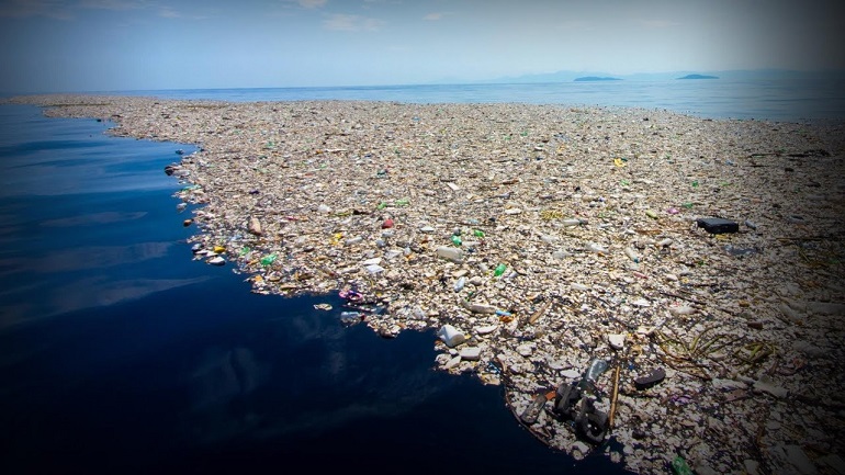 The Impact of Plastic Waste on the Oceans and Marine Life